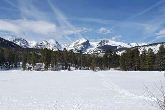 From Denver: Rocky Mountain National Park Winter/Spring Tour